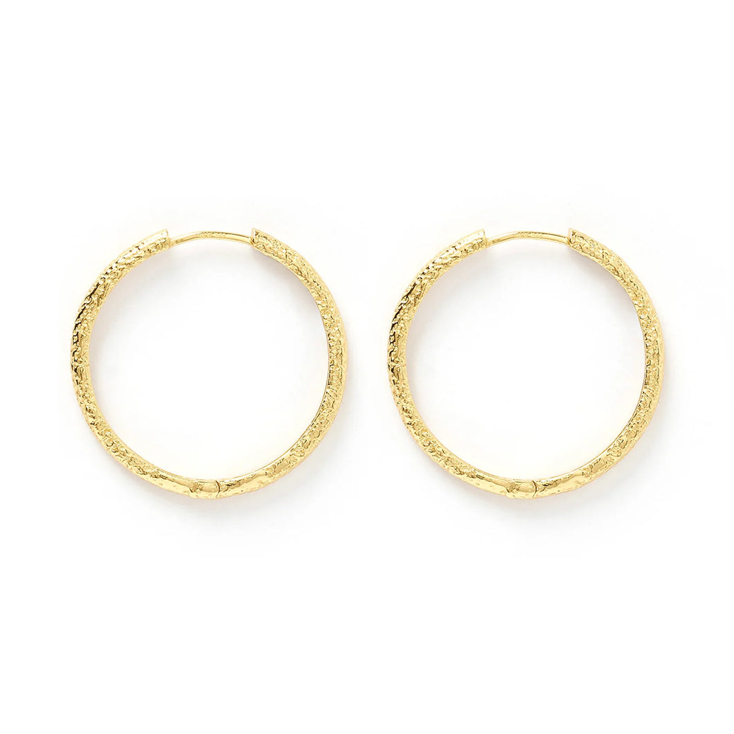 Arms Of Eve - Sebastian Hoop Earrings - Gold