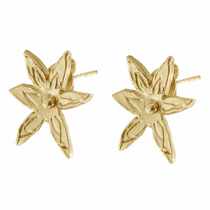 Cleopatra's Bling - Mini Zosimos Studs - Gold