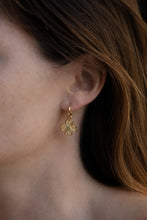 Load image into Gallery viewer, Temple Of The Sun - Fortune Earrings - Gold
