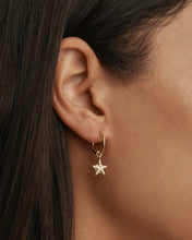 Load image into Gallery viewer, By Charlotte - By The Sea Starfish Hoops - Gold

