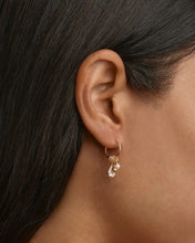Load image into Gallery viewer, By Charlotte - Ocean Mist Hoops - Gold
