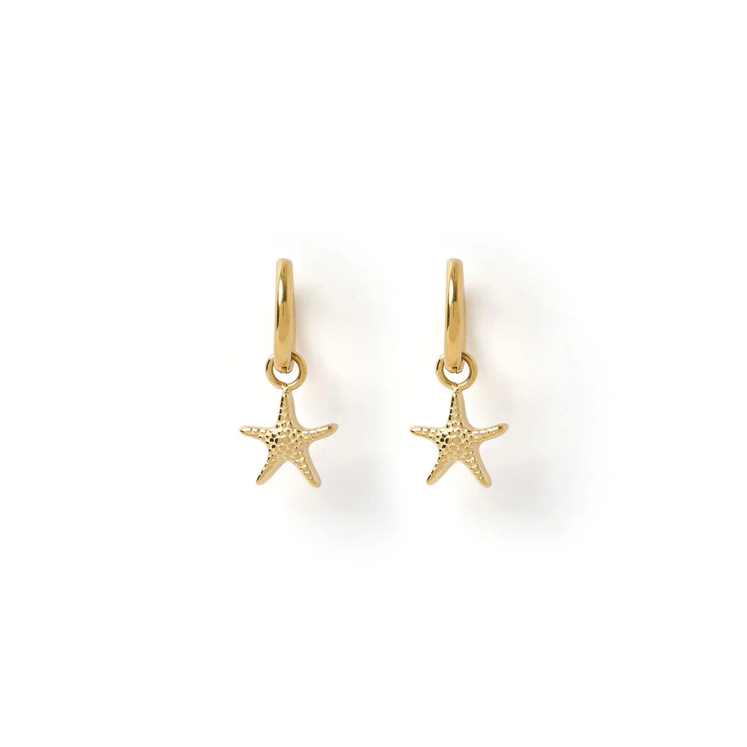 Arms Of Eve - Sea Star Earrings - Gold